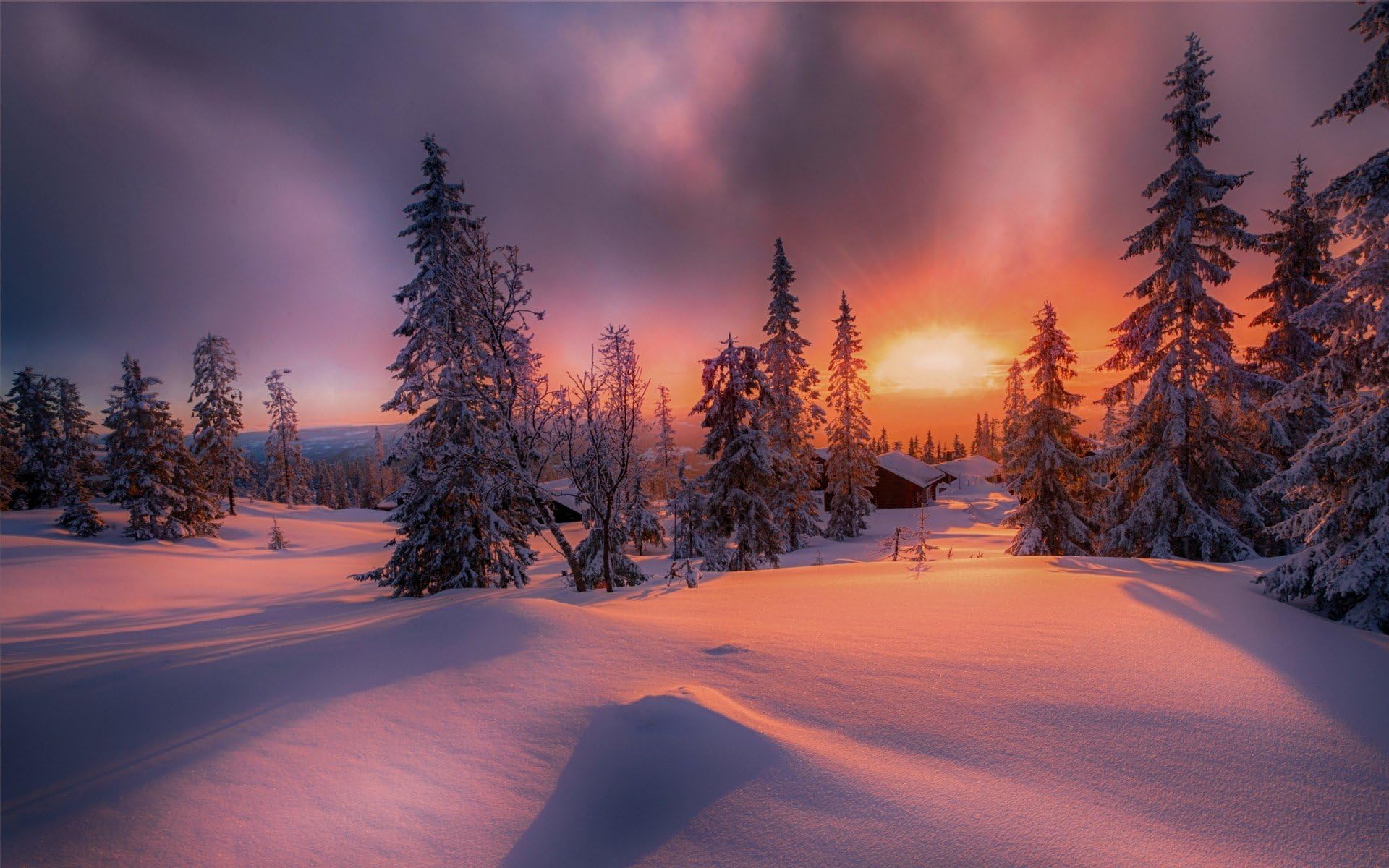 CCEEBDTO Jigsaw Puzzle 1000 Pieces Adult Puzzle Wooden Puzzle Classic 3D Puzzle Pine Tree Snow Scene at Sunset DIY Modern Art Home Decor