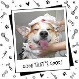 BUGALUGS Baby Fresh Dog Shampoo 5 Litre Vegan Puppy Puppy Shampoo view 8