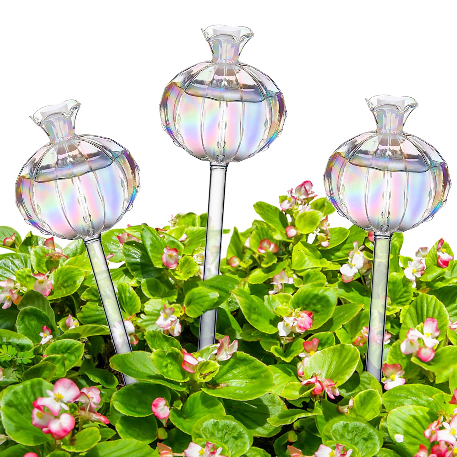 Begonia Pack of 3 Watering Balls, Plant Watering Bulbs for Holidays, Colourful Glass Self-Watering Plant Bulbs, Colourful Glass Watering Balls for Indoor and Outdoor Use