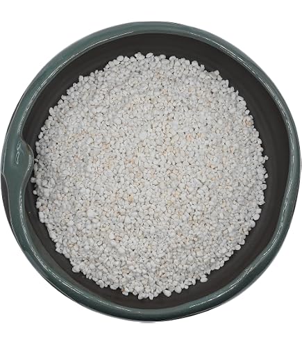 Vermiculita Grado Fino 1/2 Galón Para Siembra Y Suelos - Mejora Drenaje Y Retención De Agua
