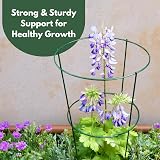 Garden Mile 5Pcs Plant Support Stakes 76cm Green Aluminium Ring Frames view 7