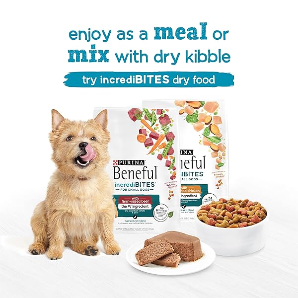 BENEFUL INCREDIBITES GRILLED CHICKEN FLAVOR AND FILET MIGNON FLAVOR WET FOOD FOR SMALL DOGS VARIETY PACK – 3.5 OUNCE (PACK OF 12)