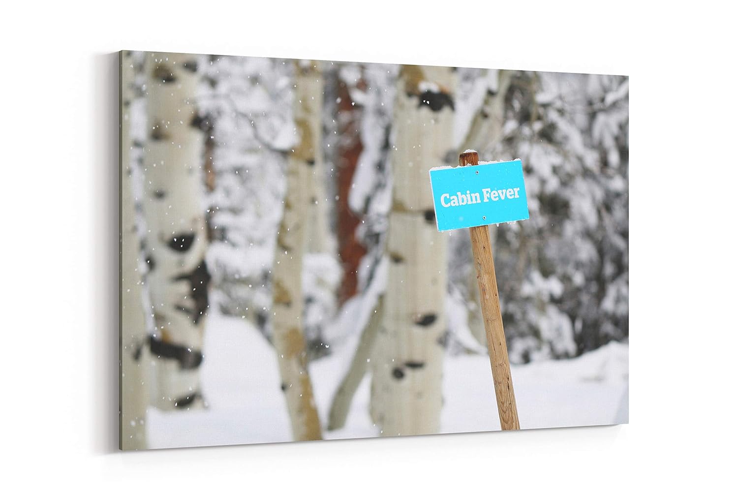 Amazon Com Cabin Fever Sign Snowing And Snow In Solitude United