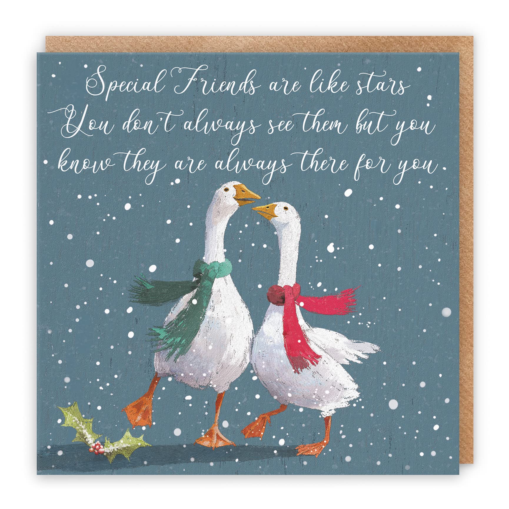 Hunts England Special Friends Christmas Card - Special Friends Are Like Stars You Don't Always See Them But You Know They Are Always There For You - Festive Geese - Milo's Gallery Collection