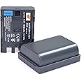 DSTE 2 Pack NB-2L NB-2LH Li-ion Battery Compatible with Canon PowerShot S80 S70 S60 S50 S45 S40 S30 G9 G7 DC420 DC410 VIXIA HF EOS 400D 350D Digital Rebel XTi XT