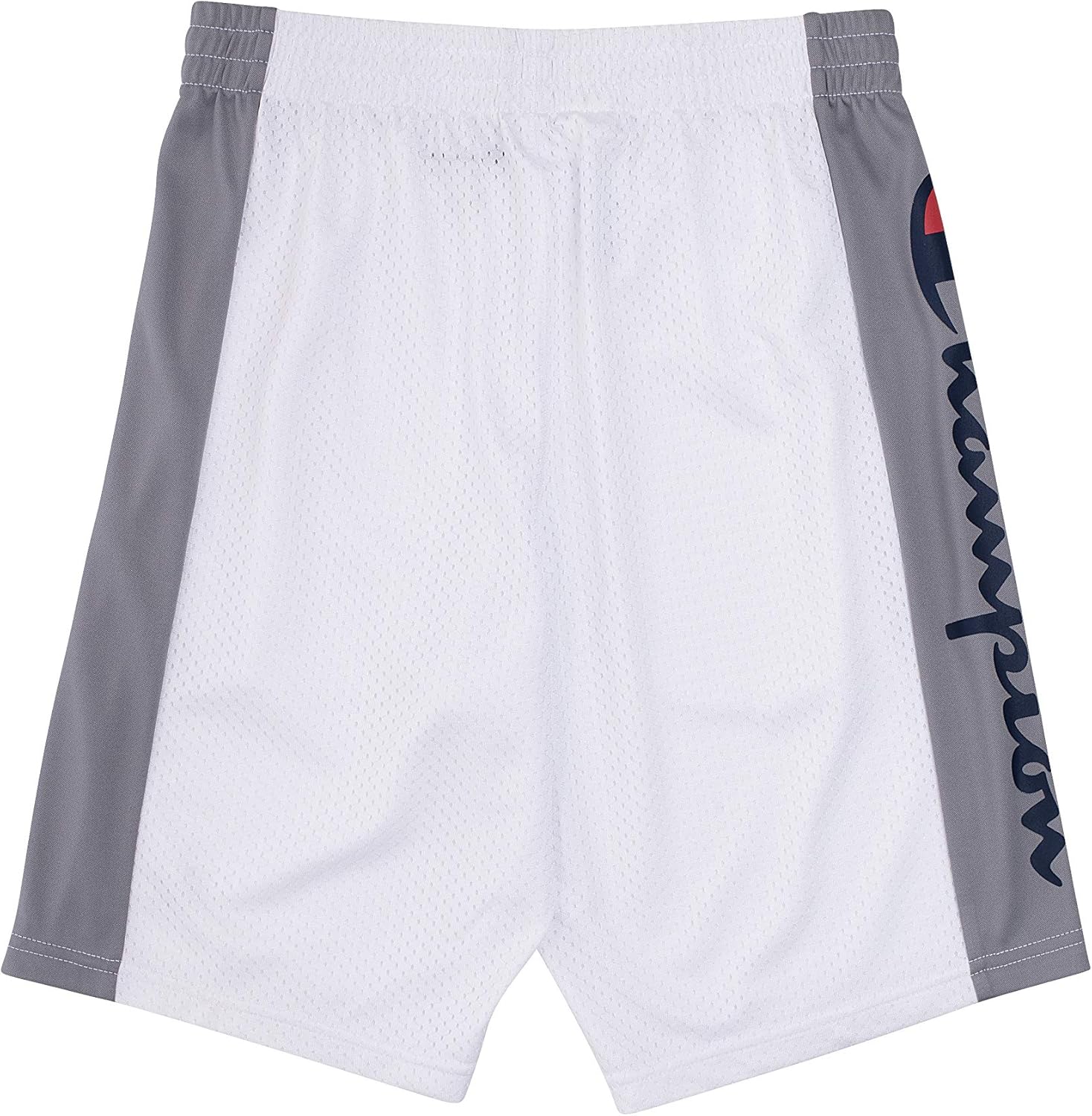 Champion Boys Hertiage Script Mesh Short: Clothing