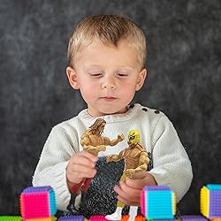 Wrestling Toys, Set of 12 Boxing Action Figures and