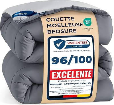 Couette 220x240 4 Saisons - Couette sans Housse 300g/m²