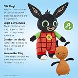 Rainbow Designs Bing & Flop Twin Pack Soft Toys Twin Set Toddlers view 3