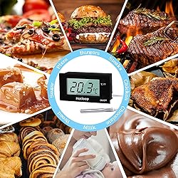 Hotloop Digital Oven Thermometer Heat Resistant up