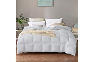 Dorrin Nessin Feathers Down Comforter, Gray Queen 90x90 inches