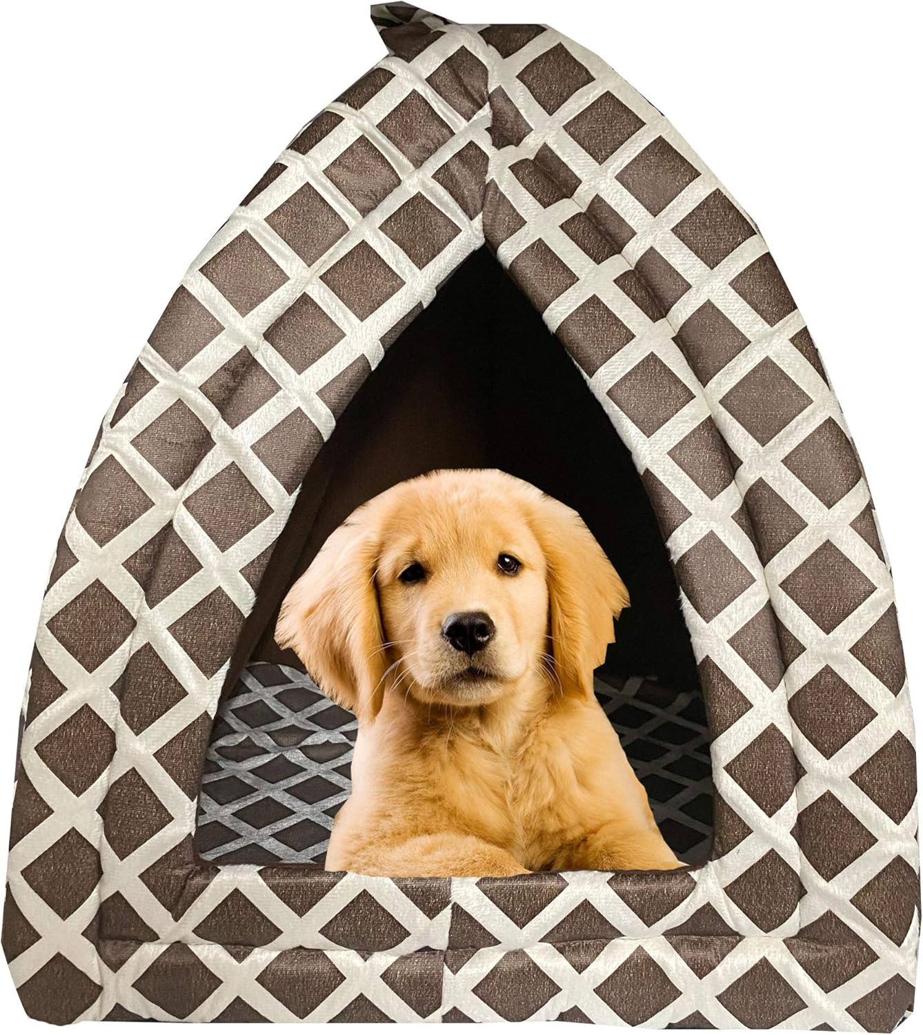 dog igloo bed extra large