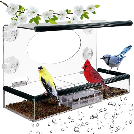 Birdious Wild Window Bird Feeder Enjoy Unique Watch Small Large