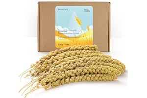 BUCATSTATE Spray Millet for Birds, Sun-Dried Healthy Millet Parakeet Treats for Parrots Cockatiel Lovebird Finch, GMO-Free Parakeet Food - 1.1lb