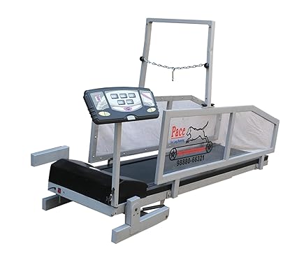 pace dog treadmill