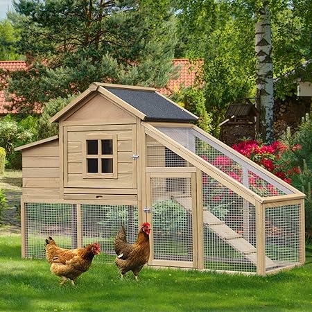 Amazon Com Festnight Outdoor Patio Backyard Chicken Coop Hen