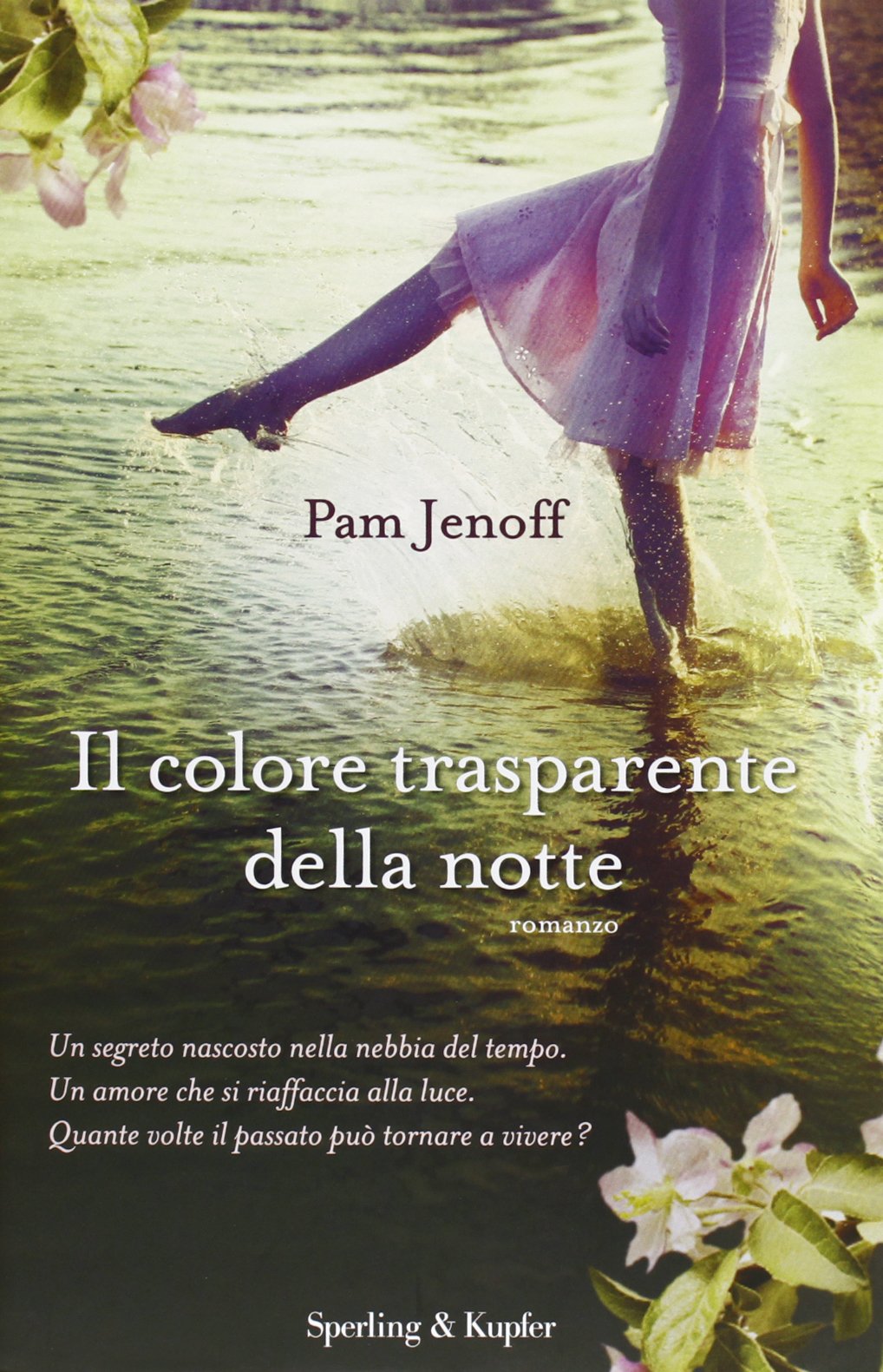 Il Colore Trasparente Della Notte Italian Edition Pam