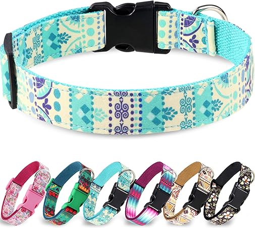 designer dog collars for large dogs