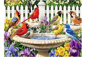 MAIQUFA 500 Pieces Puzzle for Adults,Birds Bath Flower Fence Puzzle,Recycled Cardboard Animals Jigsaw Puzzle 500 Pieces,Challenging Game Home Decor Birthday Party Gift Toy for Adults Kids Seniors 20.5 * 15 in