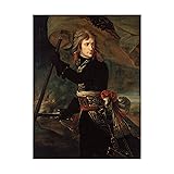Trademark Fine Art, 35x47 Napoleon Bonaparte by