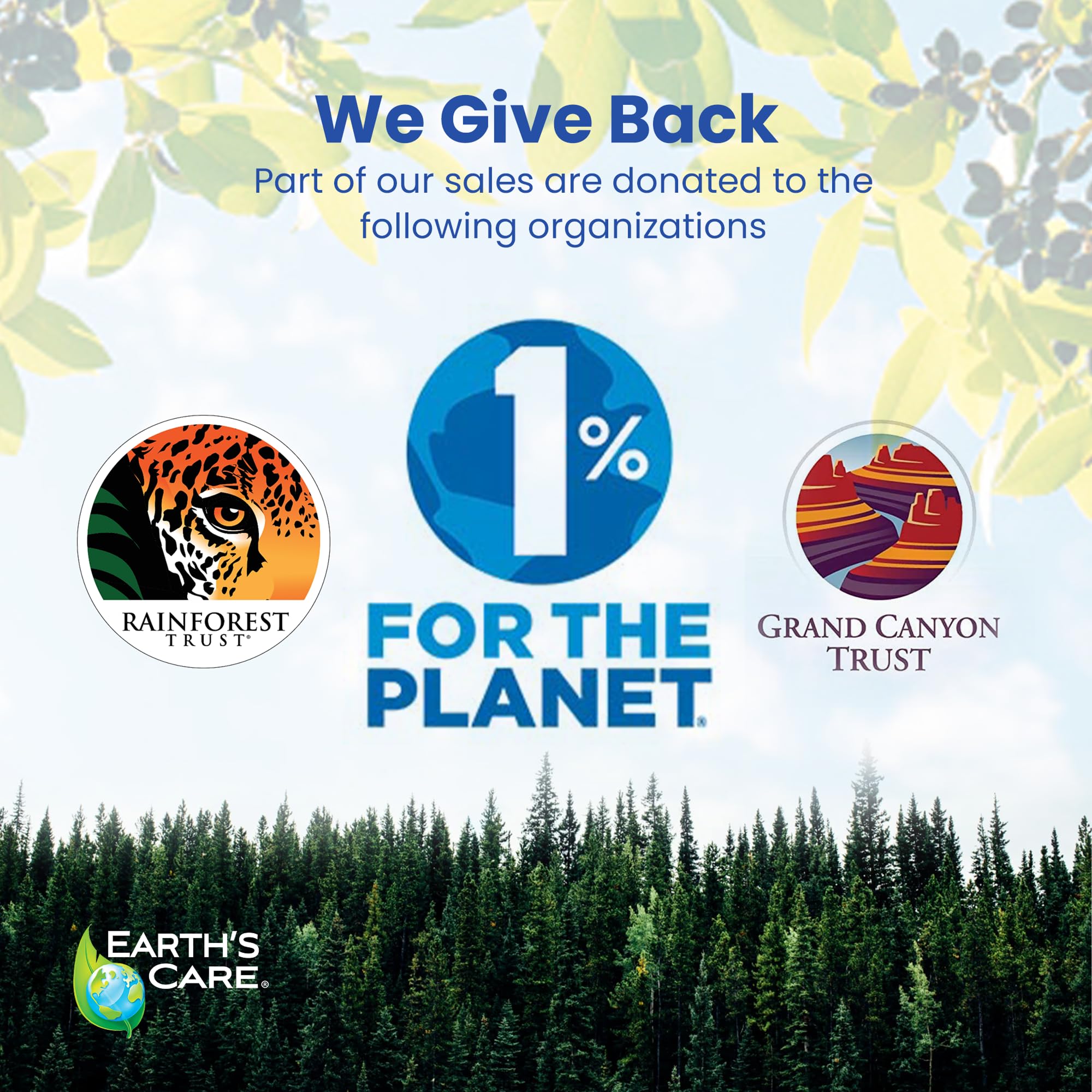 Earth's Care Eczema Lotion - Natural Lotion for Eczema - Safe and Mild Eczema Lotion for Adults and Kids - 8 Fl OZ. (237 mL)