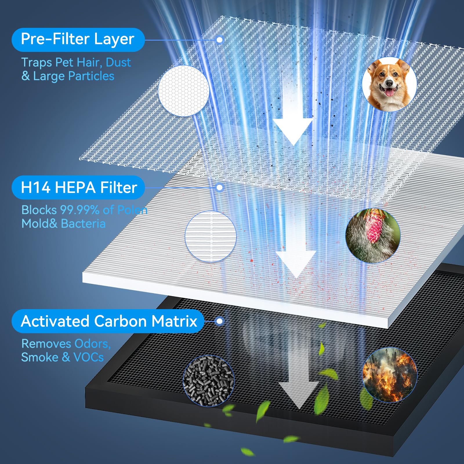 Air Purifiers for Home Large Room up to 2200ft², PM2.5 Air Quality Sensor Smart Mode, 20dB Sleep Mode & Night Light, H14 HEPA Filter Air Purifiers for Bedroom, Pets, Dust, Pollen, Tailulu HQKJ-180