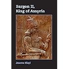 Sargon II, King of Assyria (Archaeology and Biblical Studies Book 22)