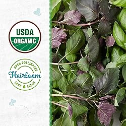 Seed Packet - Basil 'Culinary Blend' 300mg