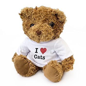 cat teddy bear gift