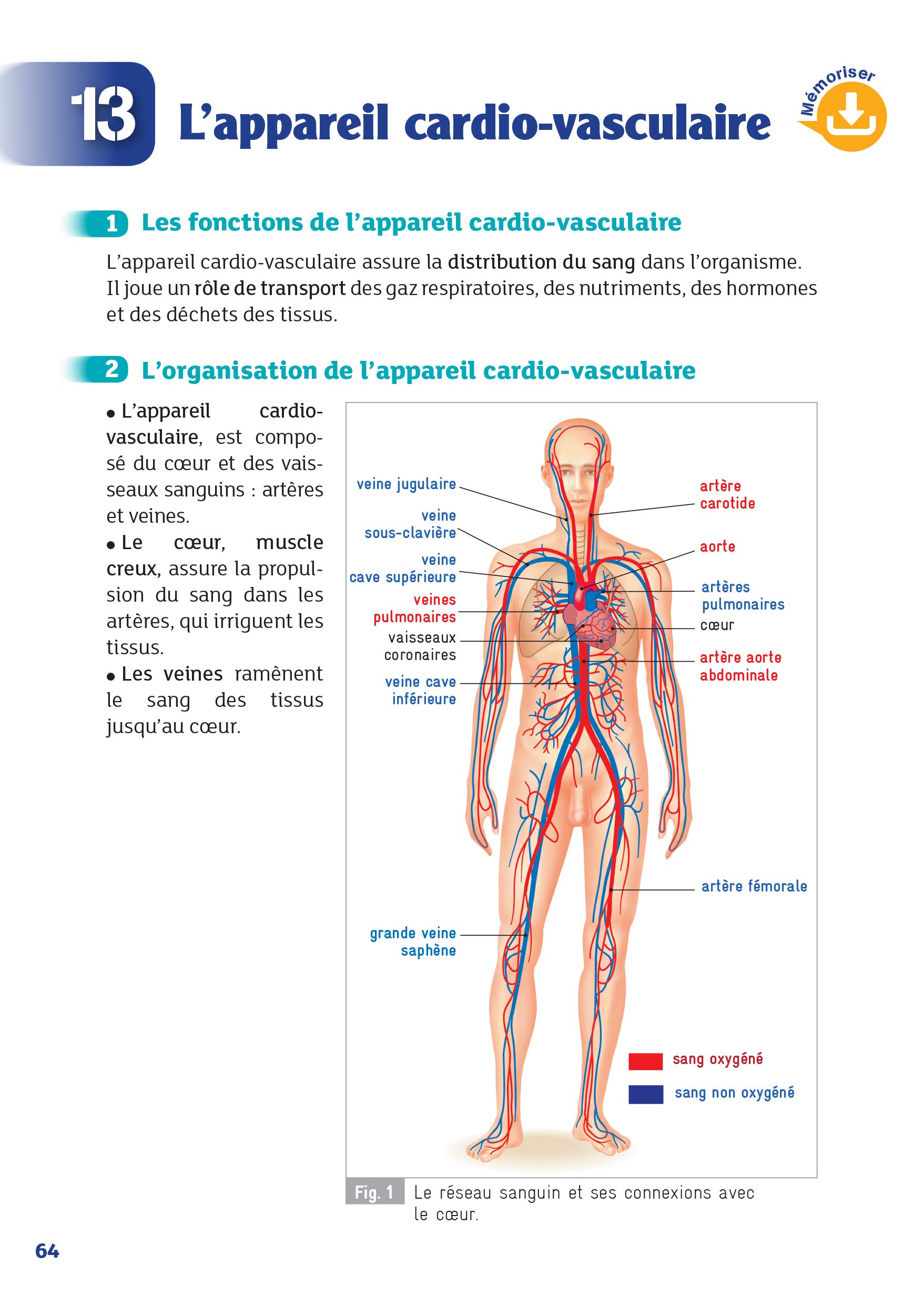 Biologie Et Microbiologie Appliquees Sms 2e 1re Terminale Bac Pro Assp Guide Reflexe N02 2018 Amazon De Savignac Blandine Collectif Baumeier Elisabeth Lavaivre Caroline Marais Delphine Fremdsprachige Bucher