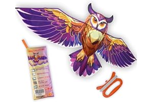 ORGCLDKT- 3D Lifelike Style Bird/Eagle Kite, Super Easy to Fly with, Ideal for Kids, Adults, Girls, Boys. Kites for The Beach, Grassland, Hiking