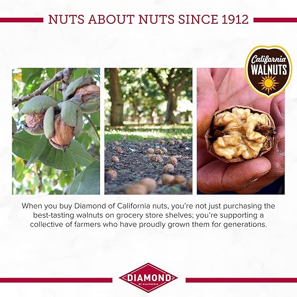 DIAMOND OF CALIFORNIA SALTED DARK CHOCOLATE WALNUT SNACK NUTS, 4 OZ.