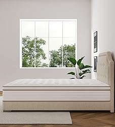 KOANTTI Queen Size Mattress,10 Inch Memory Foam