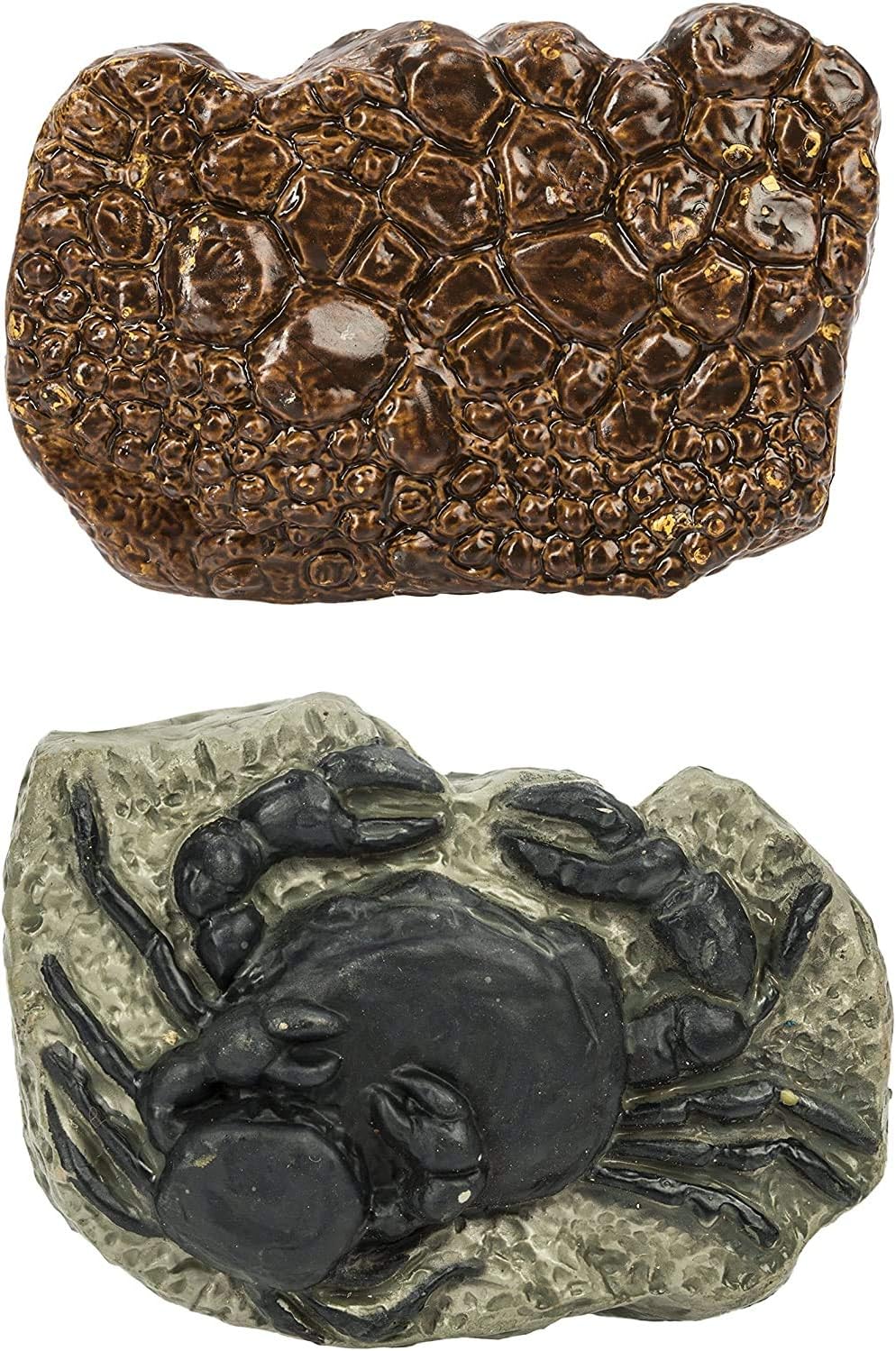 Safari 684804 Ancient Fossils - Image 4