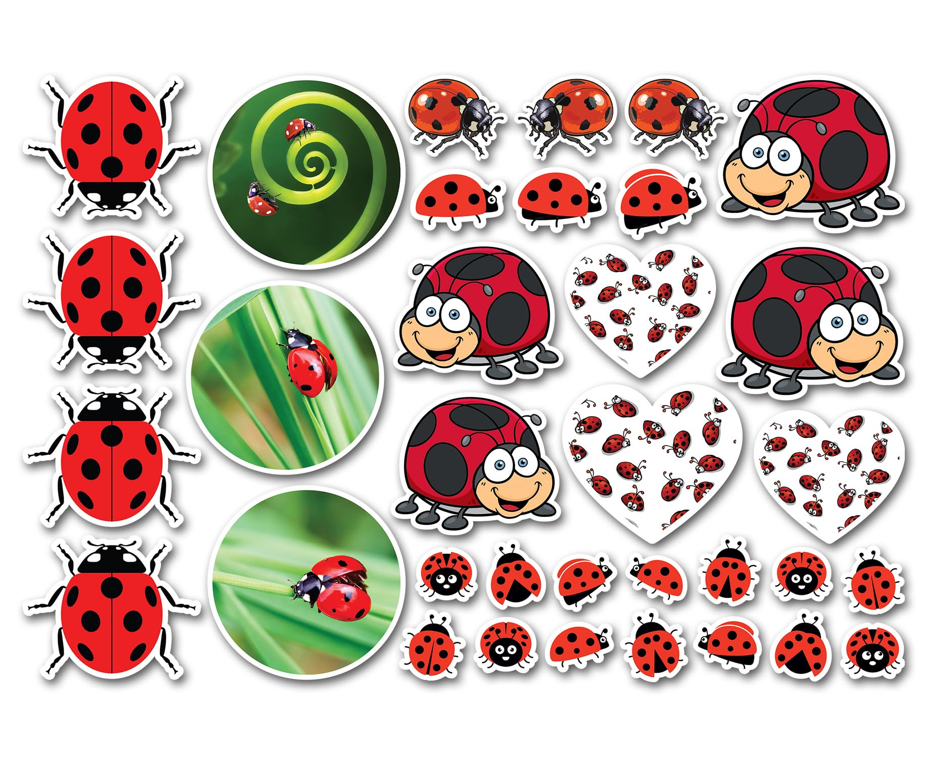 A4 Sticker Sheet Ladybird Vinyl Stickers - Insect Lady Bug Animal Men Women Kids Hobbies Hobby Travel Scrapbooking Journal Decor Gift #82184
