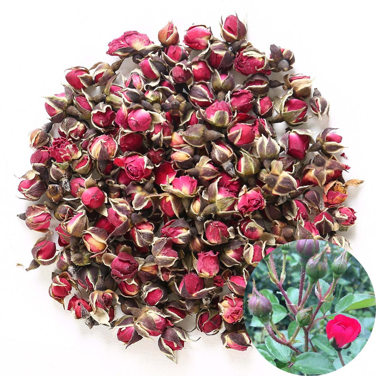 TooGet Dried Flower Tea Fragrant Red Golden-rim Rose Buds Rose Petals Natural Herbal for Tea, Culinary Food Grade - 4 OZ