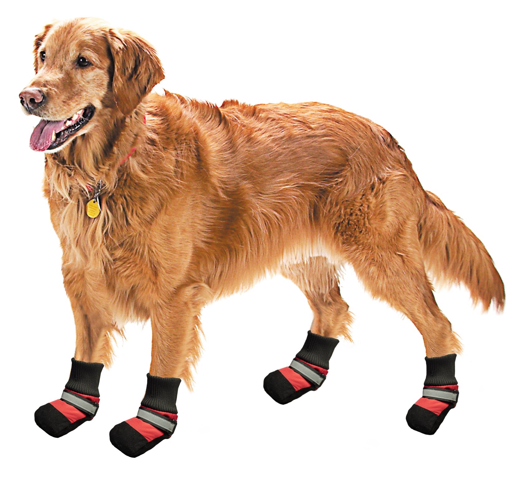 Pistachio Pet - Dog Rain Boot With Non-Slip Soles (Black/Red, S)