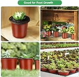 PEYOU 100Pcs 4 Inch Plant Pots Plastic Seedling Nursery Pots 10cm view 5