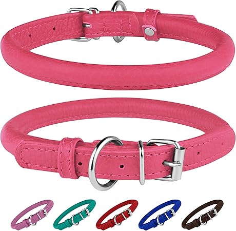 amazon rolled leather dog collar