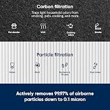 Blueair Genuine HEPASilent Replacement Filter for 3210 411 Air Purifier view 2