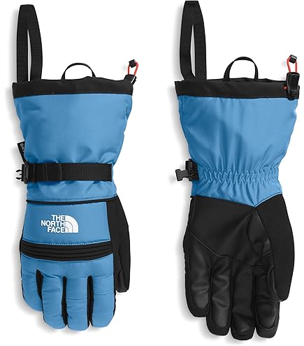 Amazon.com : Dakine Womens Eclipse Gore-Tex Gloves - Black, X