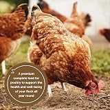 Copdock Mill Mixed Corn Chicken Feed with Verm-X 20kg view 5