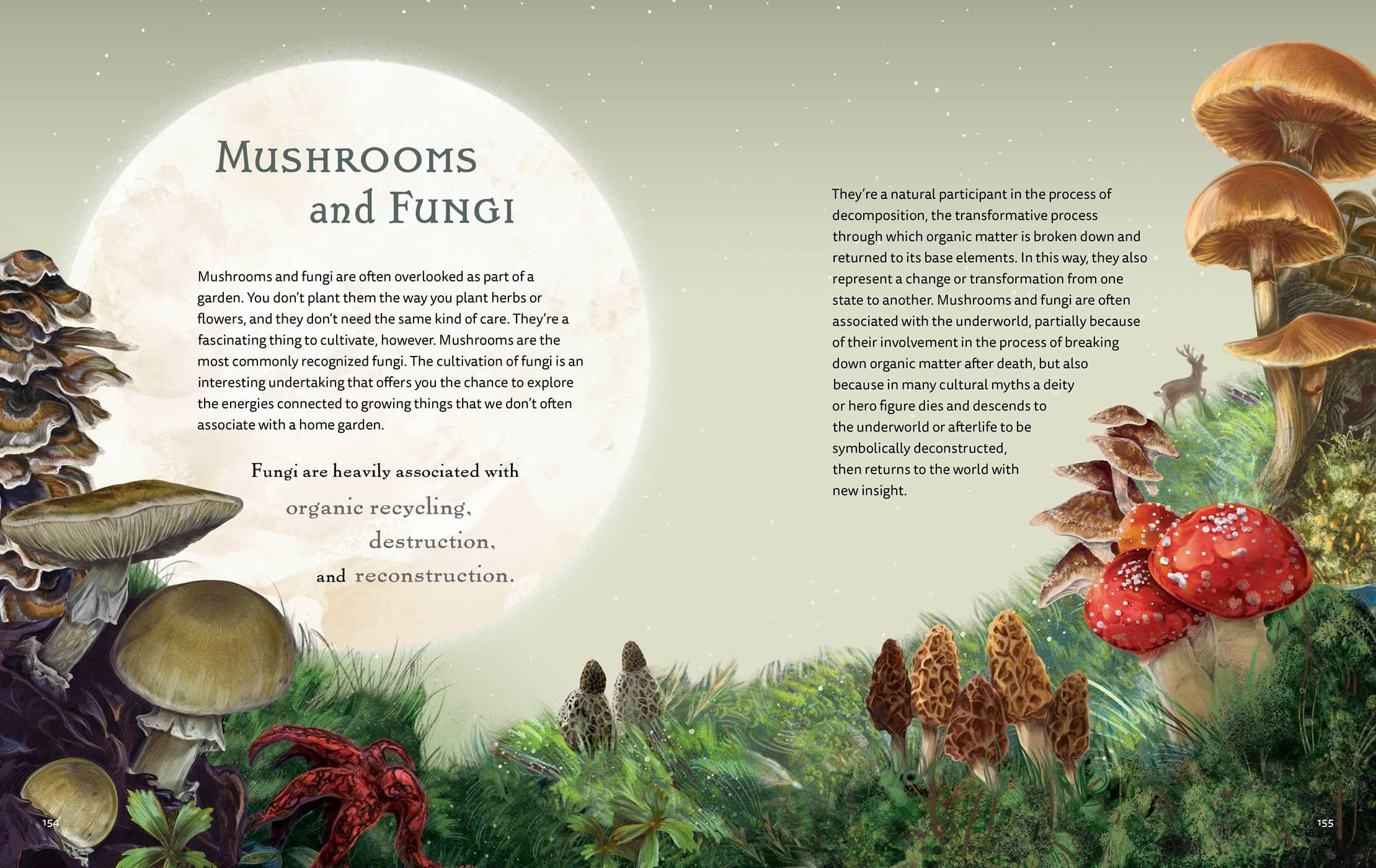 The Green Witch Illustrated: An Enchanting Immersion Into the Magic of Natural Witchcraft (Green Witch Witchcraft Series)