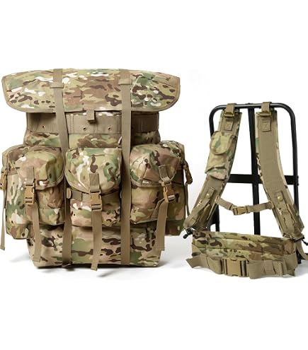 Amazon.com : MOLLE II Rucksack Backpack Assembly (ACU), Large