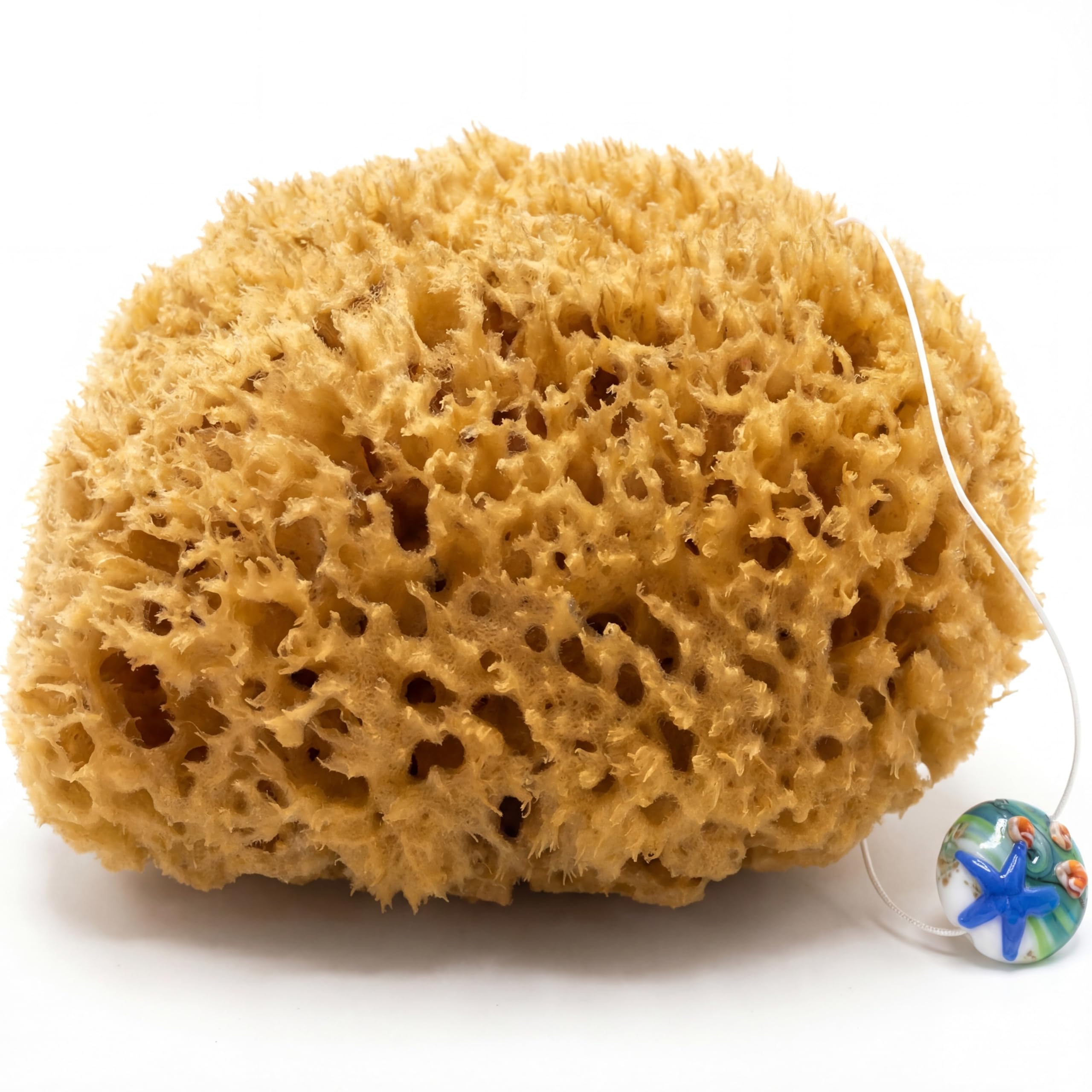 tom&pat® Natural Sea Sponge • with Cord and Glass Pendant • Bathing Sponge and Body Sponge • Peeling Effect • Unbleached • Dermatest Excellent • Mediterranean Quality Greece (15-16 cm)