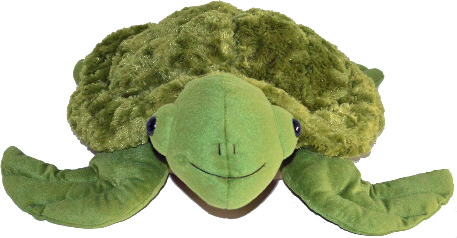 sensory turtle toy