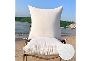QSWRD 22 x 22 Outdoor Pillow Insert Large Throw Pillow Inserts Pack of 2 Water Resistant Patio Furniture Pillows Decorative Porch Couch Pillows Premium Square Sofa Pillow, White