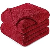 Exclusivo Mezcla Twin Size Blanket for Bed, Super Soft Velvet Plush Fleece Blankets, Fuzzy Cozy and Warm for Winter, 60x80 Inches, Deep Red