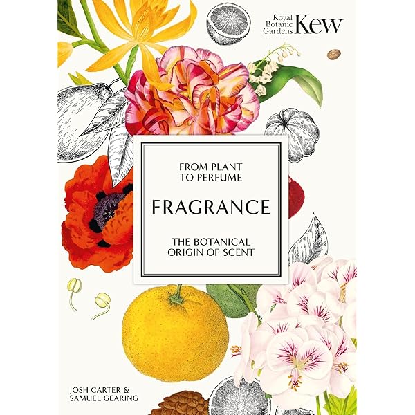 Amazon.com: Perfumes: The A-Z Guide: 9780143115014: Turin, Luca