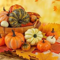 Plateau à Goûter Citrouille Halloween – 2 Niveaux, Avec Couvercle Et Support Cure-dents – Déco Fête D’automne